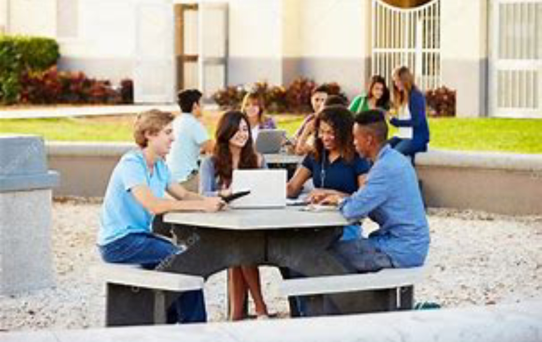 Startup Showcase Banner