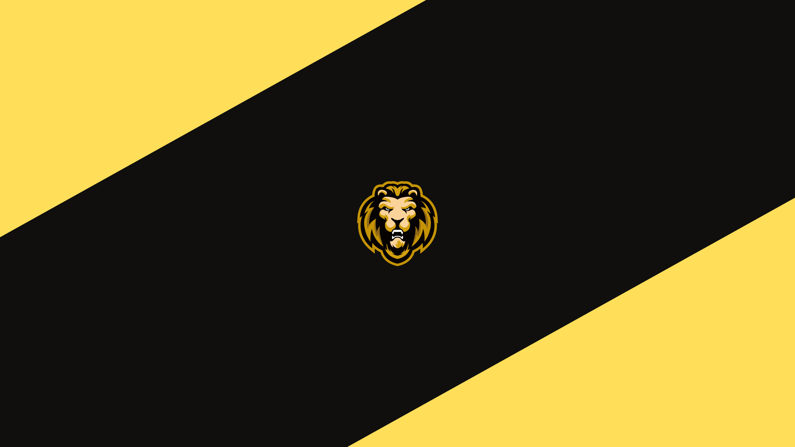 Startup Showcase Banner