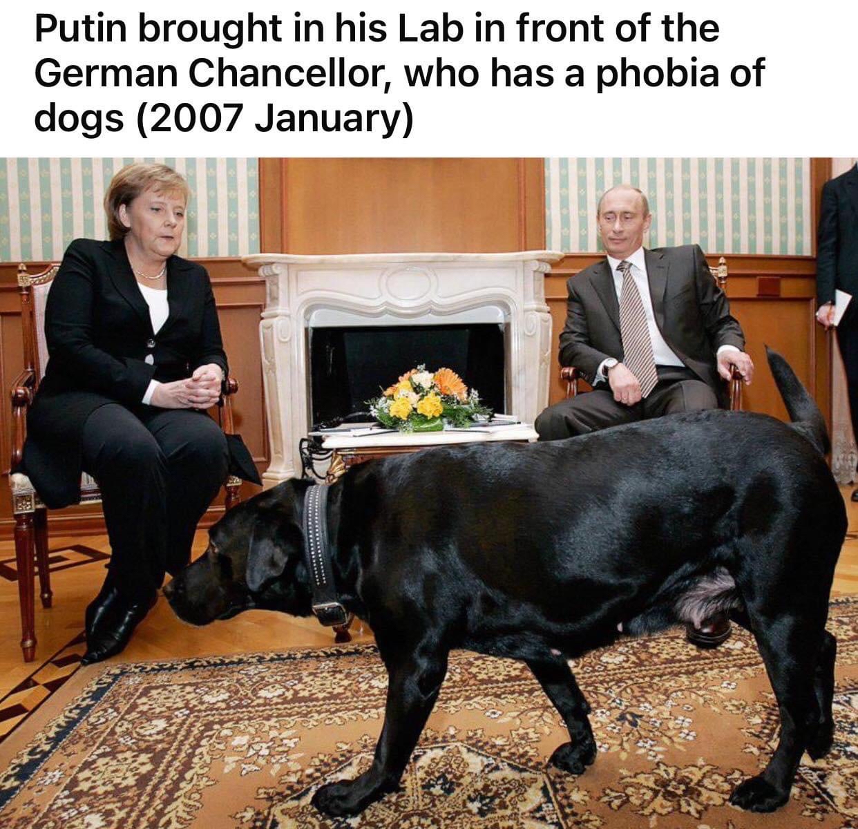 Image Description