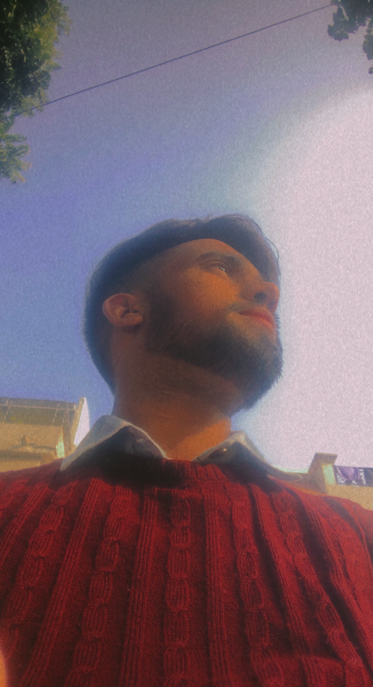 User